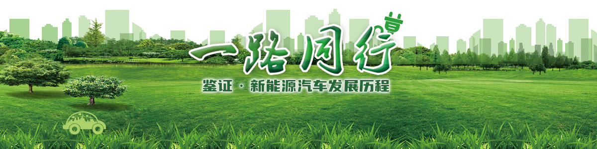 节能与新能源汽车年鉴